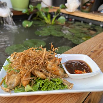 Nem Restaurant - Frog under straw stack - Vietnamese Near Me - San Jose, California Nem Restaurant - Frog under straw stack - Vietnamese Near Me - San Jose, California