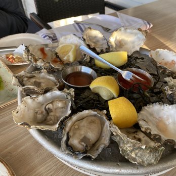 Bluewater Grill - Vancouver Oysters on the Half Shell. - Seafood Near Me - Coronado, California Bluewater Grill - Vancouver Oysters on the Half Shell. - Seafood Near Me - Coronado, California