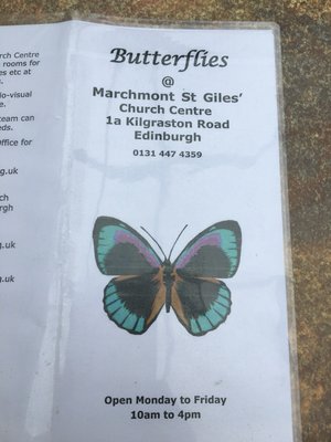 Menu photo 3 Butterflies Cafe Edinburgh, EDH