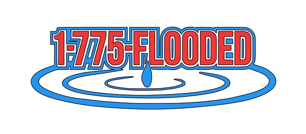 Slide of Nye County Flood Response