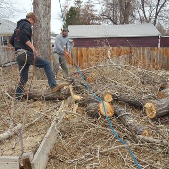 Limbotomy Tree Service - Clean up!! - Tree Services Near Me Limbotomy Tree Service - Clean up!! - Tree Services Near Me