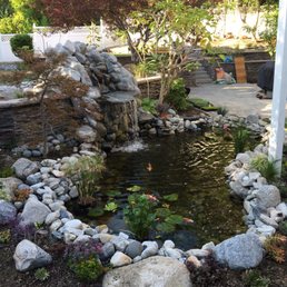 After Koi Masters