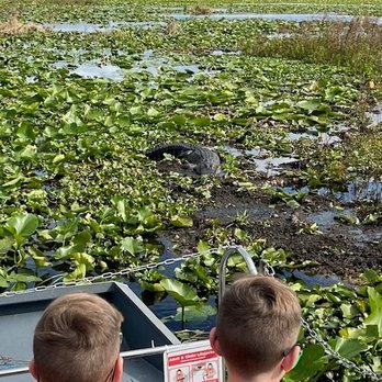 Wild Willy's Airboat Tours - Boat Tours Near Me - Saint Cloud, Florida