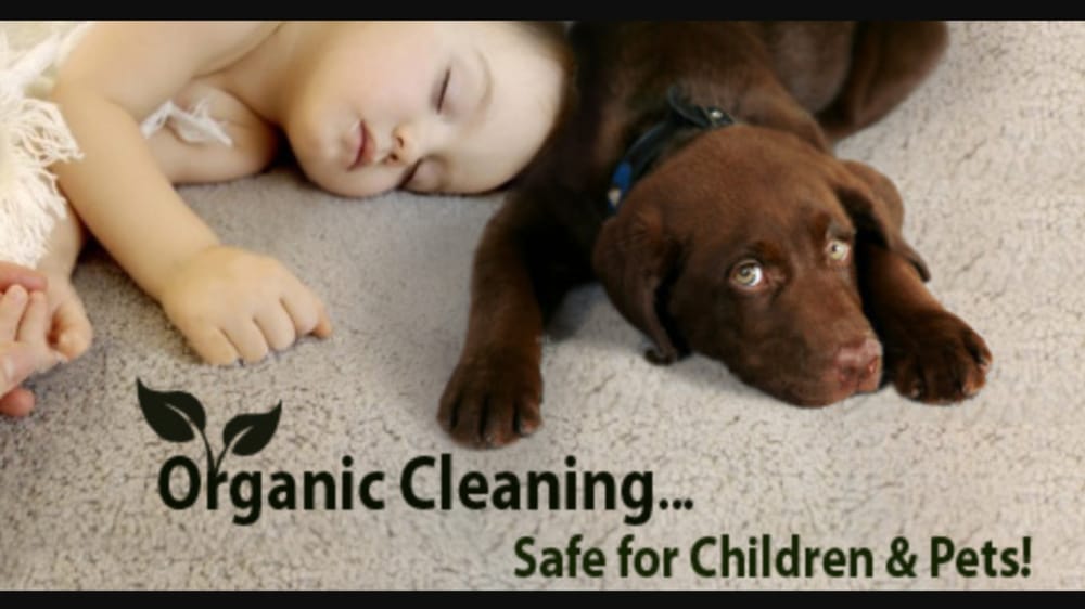 CARPET CLEANING OVERLAND PARK 26 Photos 12641 Antioch Rd, Overland