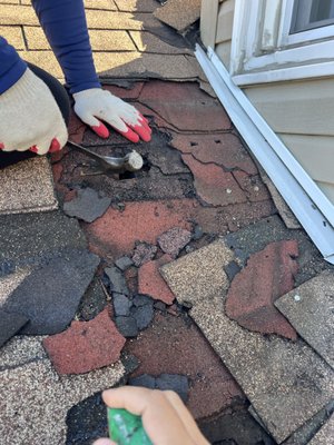 Smart Renovations on Yelp