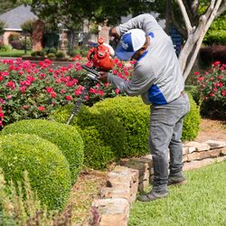 Matthews Landscape & Pest - Trimming bushes in a flower bed