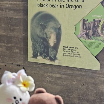 Oregon Zoo - Information - Zoos Near Me - Portland, Oregon