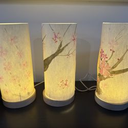 Alexandria Zen Center - Cherry blossom lanterns