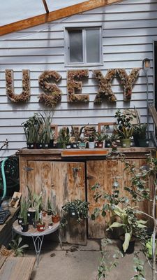 Succulence by null