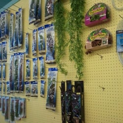 Exotic Tropicals