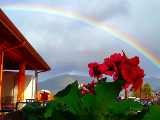 Hood Crest Winery and Distillers by null