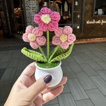 We Knit - Gift Shops Near Me - Burlington, Massachusetts