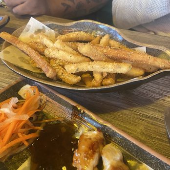 Ton-Ichi Ramen - A13 Cheesling Fries - Ramen Near Me - Downers Grove, Illinois
