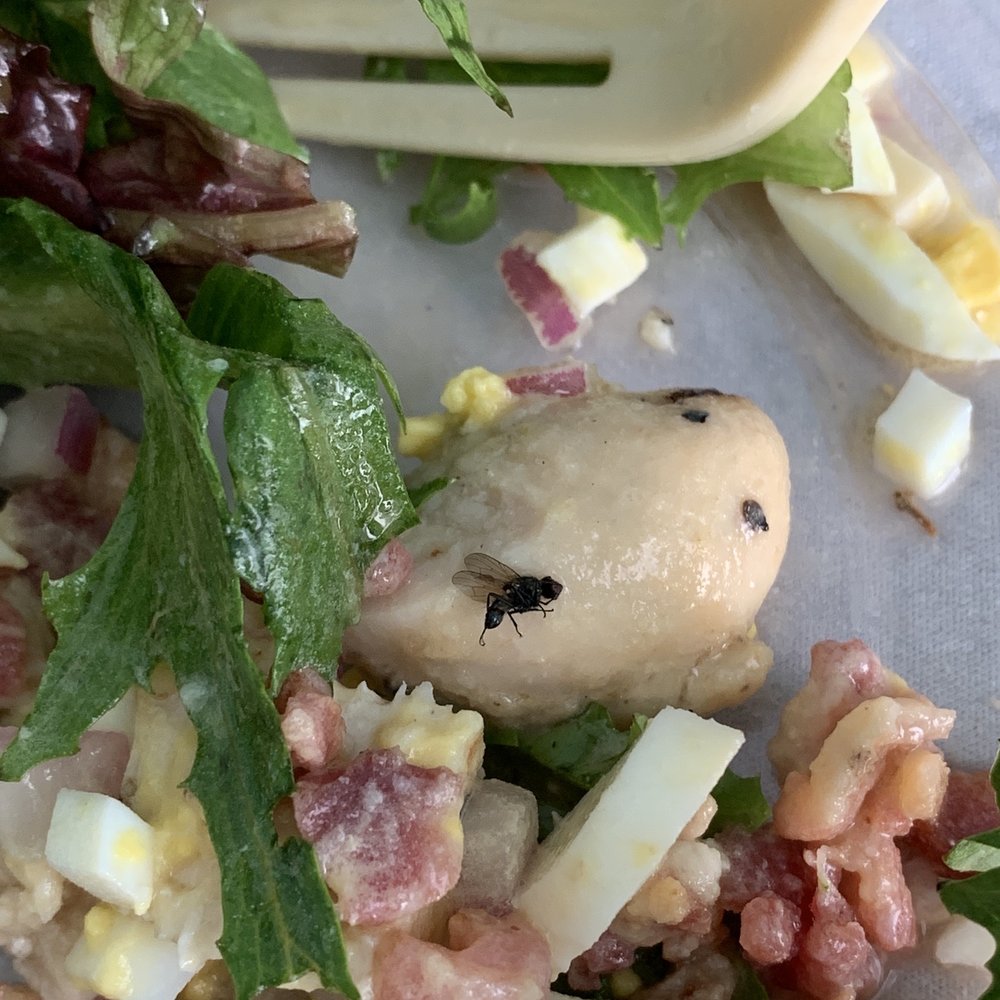 Fly on my Farmhouse salad with chicken Fly on my Farmhouse salad with chicken