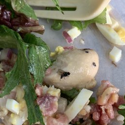 Fly on my Farmhouse salad with chicken