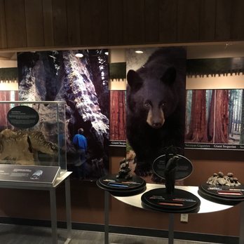 Kings Canyon Visitor Center - Some of the fun exhibits inside! - Visitor Centers Near Me - Hume, California Kings Canyon Visitor Center - Some of the fun exhibits inside! - Visitor Centers Near Me - Hume, California