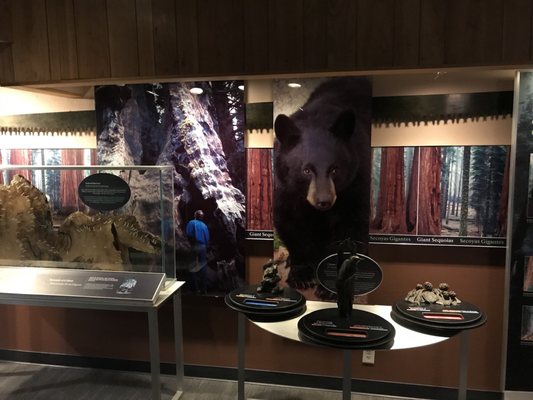 Kings Canyon Visitor Center by null