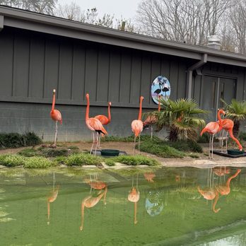 Greensboro Science Center - Zoos Near Me - Greensboro, North Carolina Greensboro Science Center - Zoos Near Me - Greensboro, North Carolina