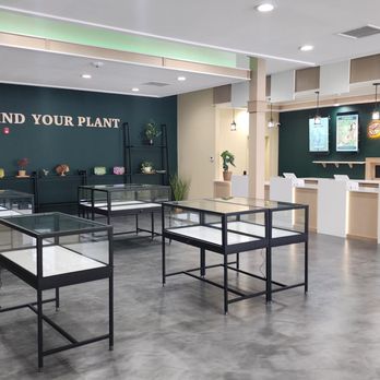 Botera Union - Cannabis Dispensaries Near Me - Union, New Jersey