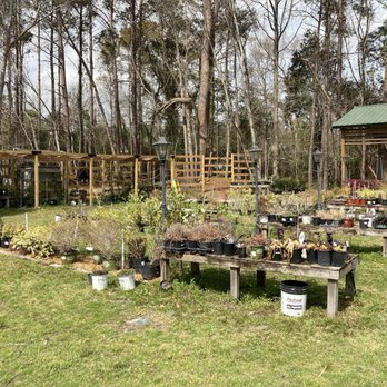 Back to Nature Garden Center - Nurseries & Gardening Near Me - Augusta, Georgia