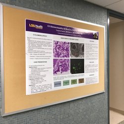LSU Nephrology