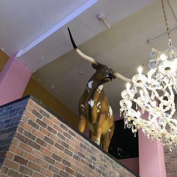 Voodoo Doughnut - Longhorn statue inside - Donuts Near Me - San Antonio, Texas