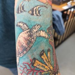 Triumph Tattoo bhc