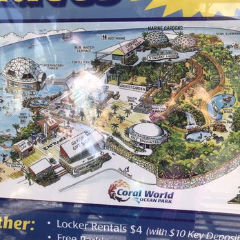 Coral World Ocean Park - Aquariums Near Me - St Thomas, Virgin Islands