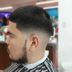 Five Star Fades - Daniel Barber