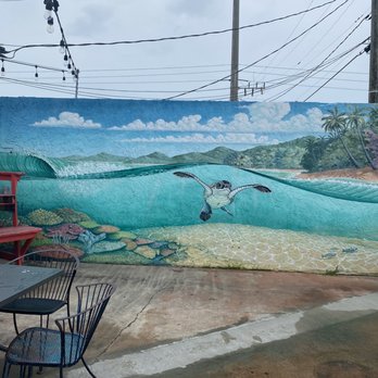 The Tiny Turtle - Caribbean Near Me - Cocoa Beach, Florida The Tiny Turtle - Caribbean Near Me - Cocoa Beach, Florida