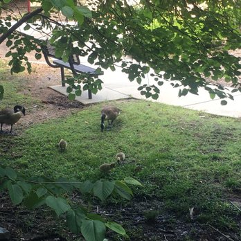 Squirrel Lake Park - Parks Near Me - Matthews, North Carolina