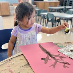 Noah's Ark Preschool