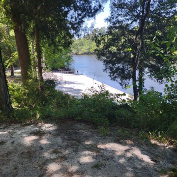 Givhans Ferry State Park - Edisto river - Parks Near Me - Ridgeville, South Carolina