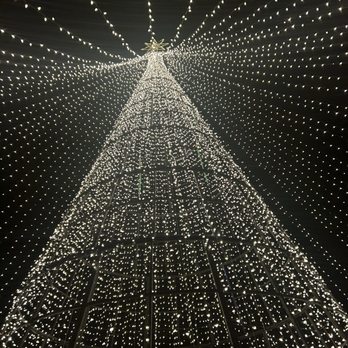 Harry P Leu Gardens - Lights - Venues & Event Spaces Near Me - Orlando, Florida Harry P Leu Gardens - Lights - Venues & Event Spaces Near Me - Orlando, Florida