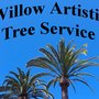 Photo of Willows Artistic