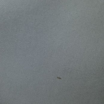 SpringHill Suites by Marriott New York LaGuardia Airport - A Bed Bug..... - Hotels Near Me - Corona, New York SpringHill Suites by Marriott New York LaGuardia Airport - A Bed Bug..... - Hotels Near Me - Corona, New York