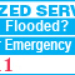 Authorized Services