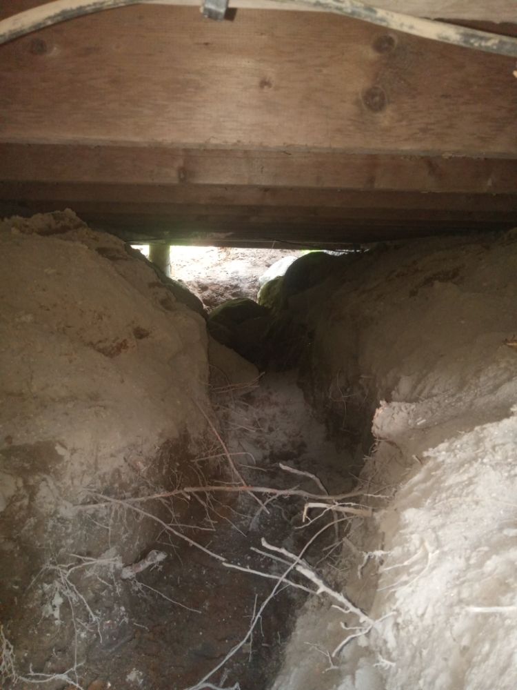 B Bell Property Service - tree service in Casco, ME