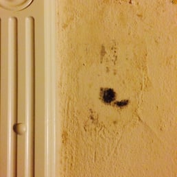 Moldy wall in our bedroom