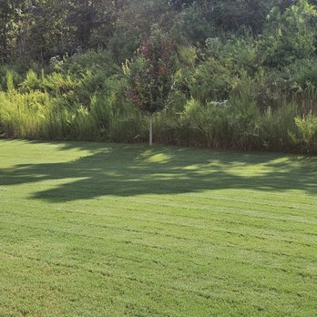 Weed Man - Back yard (Bermuda Grass) - Pest Control Near Me - Roswell, Georgia Weed Man - Back yard (Bermuda Grass) - Pest Control Near Me - Roswell, Georgia