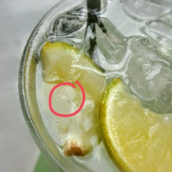 Dublin Crossing - Sorry for the bad quality. My phone camera is broken and this is the best it does but you can still see the fly. - Irish Pub Near Me - Vancouver, British Columbia
