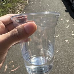 $2 water cup lol