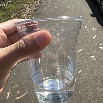 Sunset Roasters - $2 water cup lol - Coffee & Tea Near Me - San Francisco, California