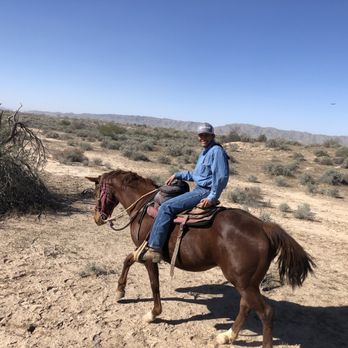 KOLI Equestrian Center - Robert our wrangler - Venues & Event Spaces Near Me - Phoenix, Arizona KOLI Equestrian Center - Robert our wrangler - Venues & Event Spaces Near Me - Phoenix, Arizona