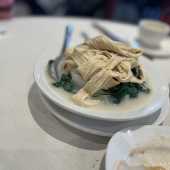Kirin Seafood Restaurant - Baby bokchoi with tofu - Seafood Near Me - Richmond, British Columbia Kirin Seafood Restaurant - Baby bokchoi with tofu - Seafood Near Me - Richmond, British Columbia