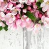 Floralsmart gift card
