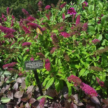 Chicago Botanic Garden - Botanical Gardens Near Me - Glencoe, Illinois
