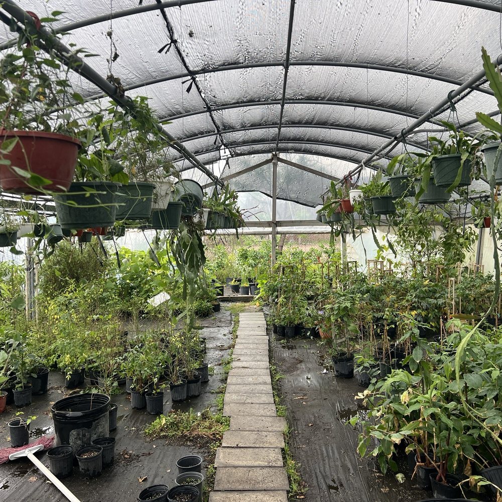 JRN Nursery - Edibles - Nurseries & Gardening Near Me - Houston, Texas JRN Nursery - Edibles - Nurseries & Gardening Near Me - Houston, Texas