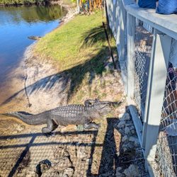 Corey Billie's Airboat Rides