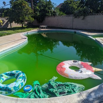 The Pool Nerd - After hurricane Hilary - Pool & Hot Tub Service Near Me The Pool Nerd - After hurricane Hilary - Pool & Hot Tub Service Near Me